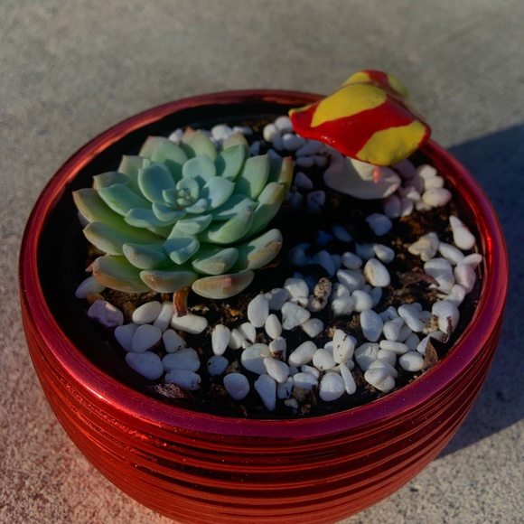 Decorative Mushrooms - Picture 2 of 2